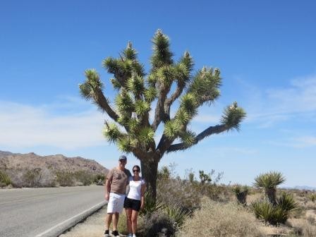 Wir und ein Joshua Tree