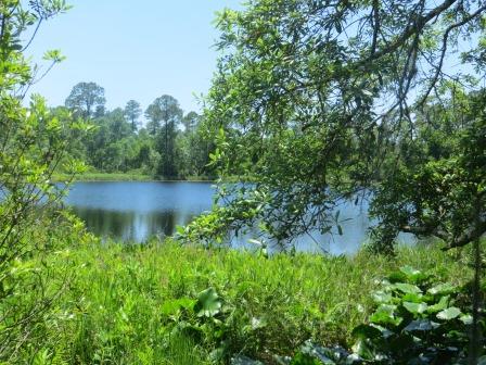 Wanderung auf dem Nature-Trail