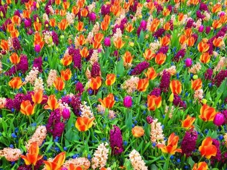 Keukenhof Gartenanlagen
