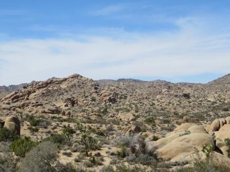 Joshua Tree Nationalpark