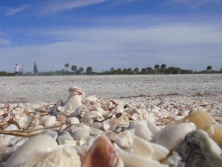 Am Bowmans Beach auf Sanibel Island