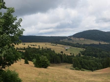 Abstecher in die Vogesen