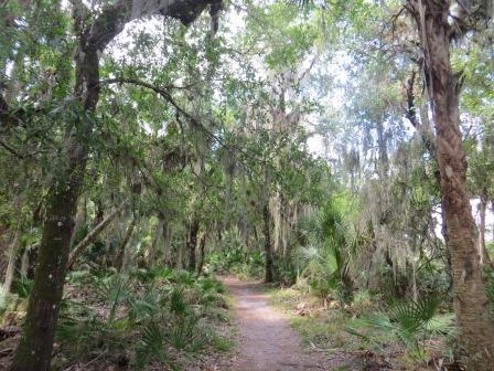 Impressionen vom Myakka River State Park