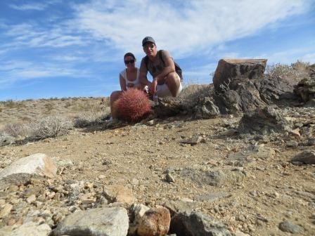 Wanderung auf dem 49Palms Oasis Trail