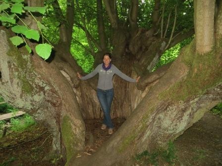 Im Hainich Nationalpark
