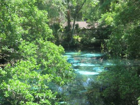 Impressionen aus dem Juniper Springs State Park