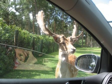 Serengeti-Park Hodenhagen