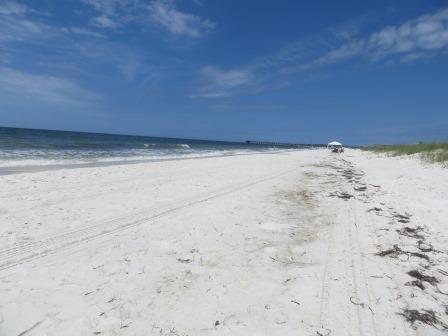 am Strand