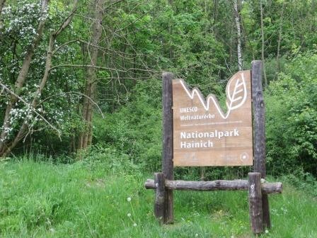 Im Hainich Nationalpark