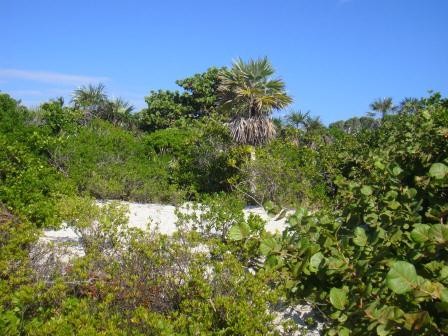 Bahia Honda State Park