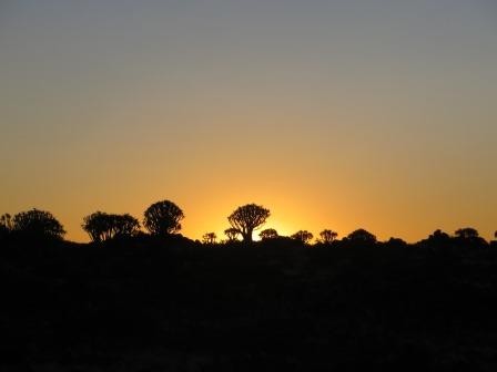 Sonnenuntergang im Köcherbaumwald