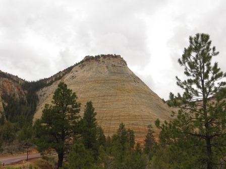 Der Checkerboard Mesa Berg im Zion Nationalpark