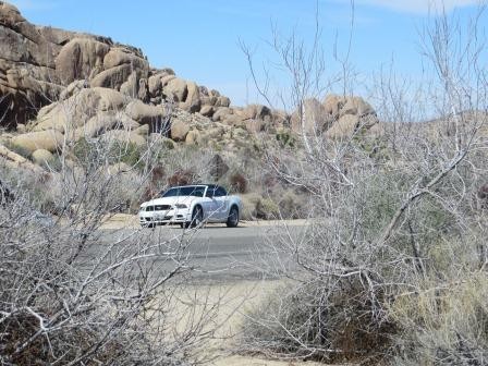 Unser Auto im Joshua Tree Nationalpark