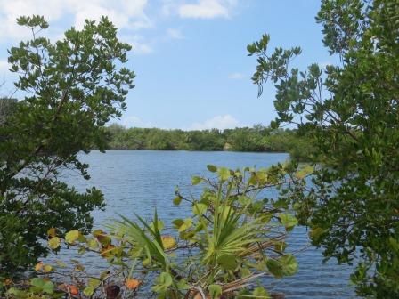 Unterwegs im Lovers Key State Park