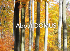 ドムスDOMUSの木の照明 - 株式会社ノーバ ドムスDOMUS日本総代理店 ドムスDOMUSの木の照明 - 株式会社ノーバ ドムスDOMUS日本総代理店