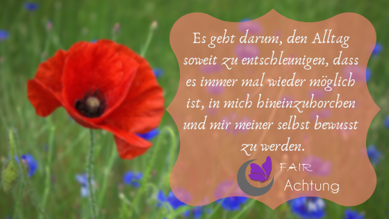 Inmitten einer wildblumenwiese steht ein einziger roter Mohn. Darüber steht: "Es geht darum, den Alltag soweit zu entschleunigen, dass es immer mal wieder möglich ist, in mich hineinzuhorchen und mir meiner selbst bewusst zu werden."