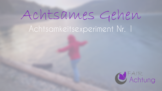 Auf dem Bild ist eine Frau zu sehen, die auf einem Baumstamm balanciert, der an einem Seeufer liegt. Die Frau trägt eine pinke Jacke. Das Bild ist unscharf. Im Vordergrund steht: "Achtsames gehen - Achtsamkeitsexperiment Nr. 1"