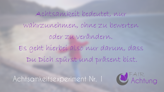 Es ist eine Frau zu sehen, die auf einem Baumstamm balanciert, der an einem Seeufer liegt. Da steht: "Achtsamkeit bedeutet nur wahrzunehmen, ohne zu bewerten oder zu verändern. Es geht hierbei also nur darum, dass Du Dich spürst und präsent bist."