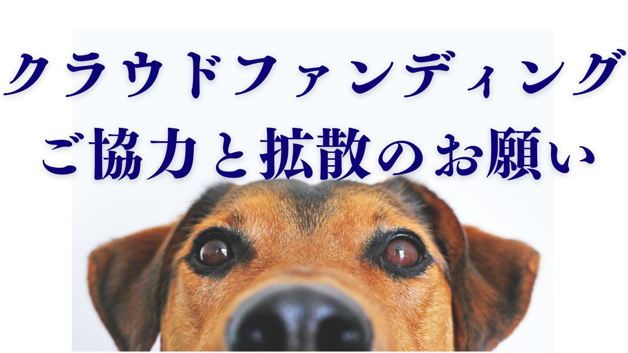 火事で全焼した動物病院の再建を支援するために