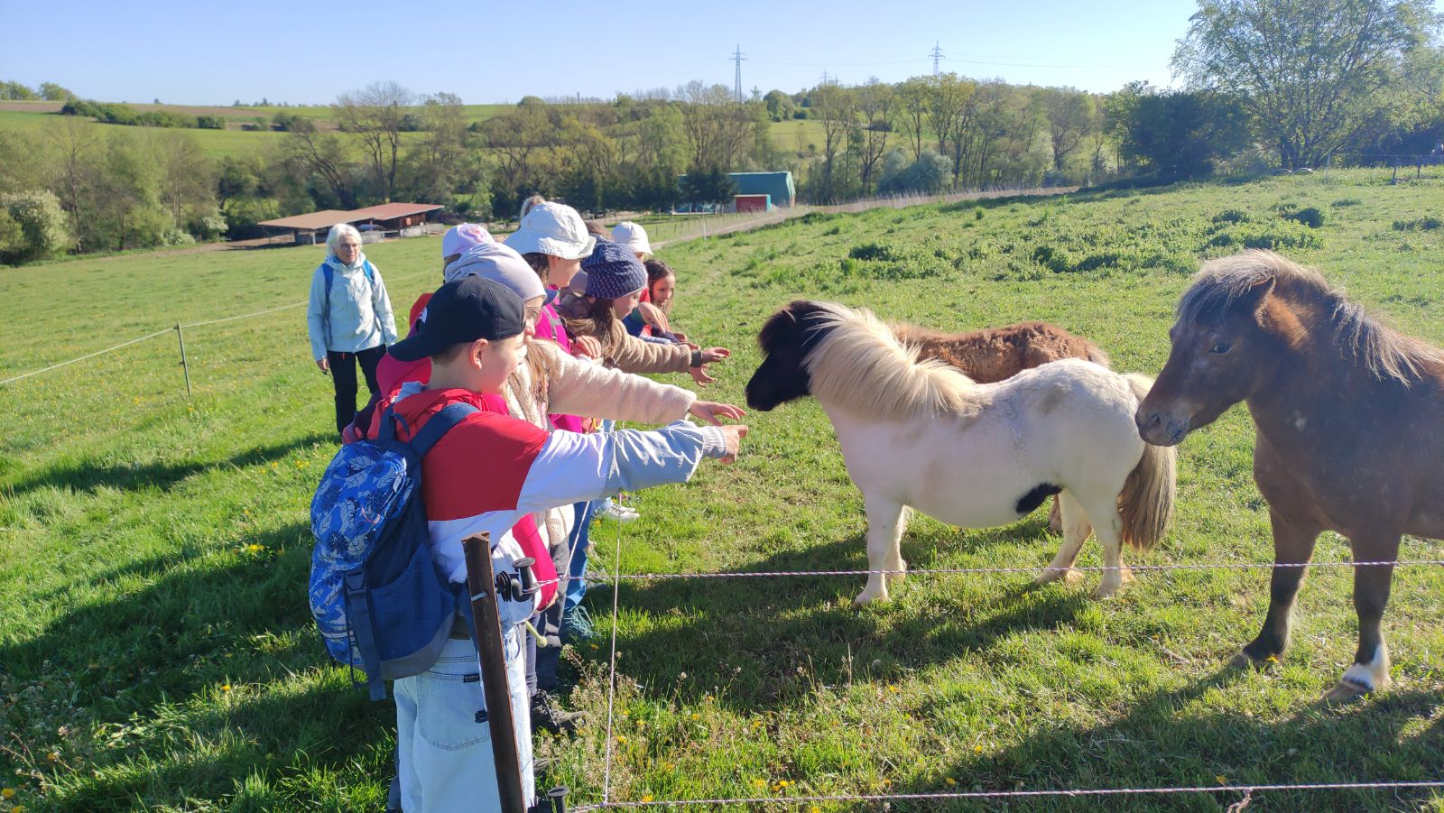 Zwischenstopp bei knuddeligen Fellnasen...