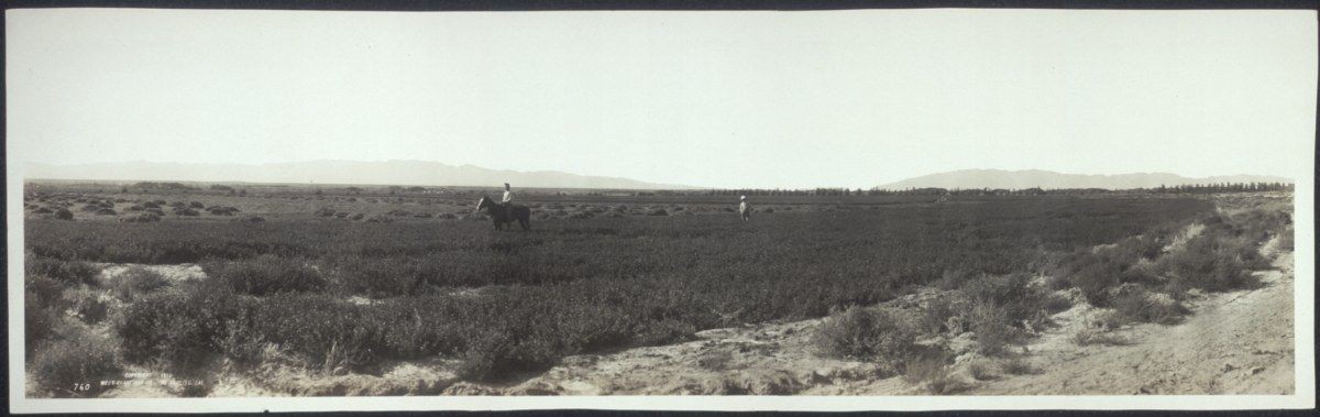 vers 1910