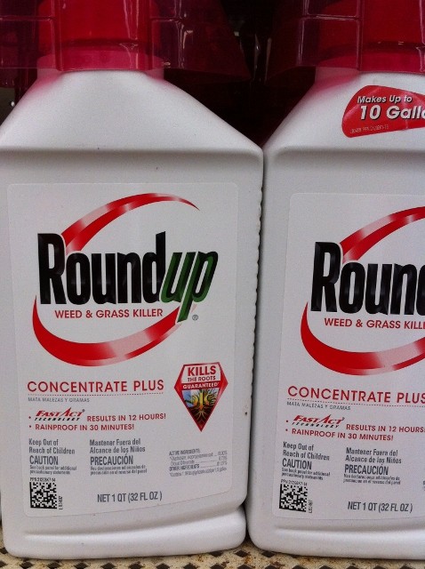 Which is better? Expensive Roundup? or