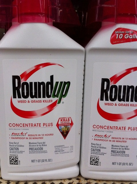 Which is better?  Expensive Roundup? or