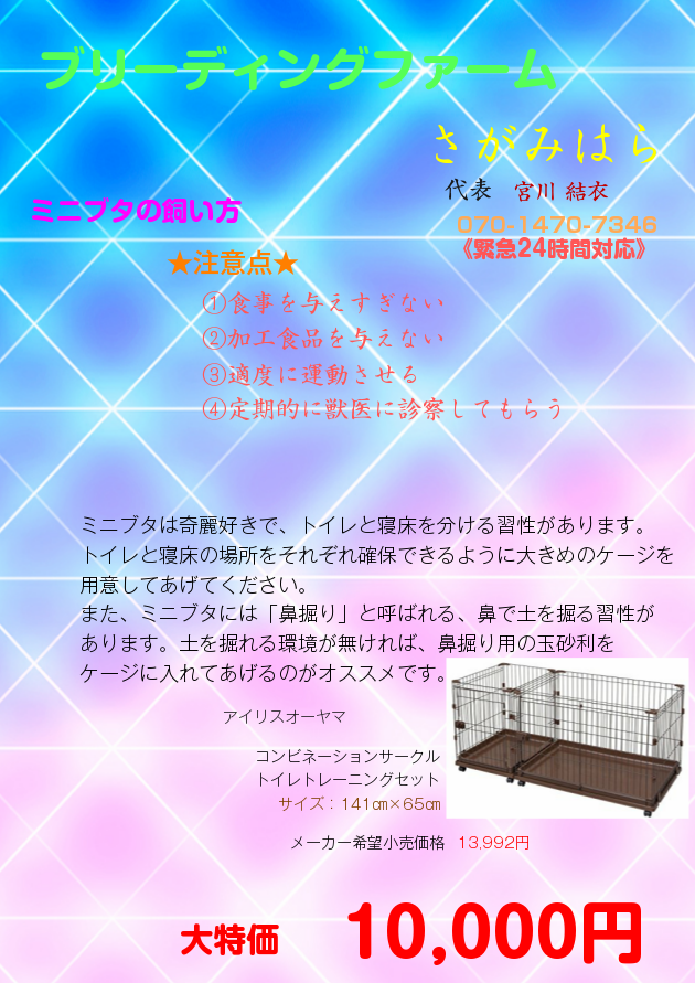 ホーム 相模すっぽん物語 ホーム 相模すっぽん物語