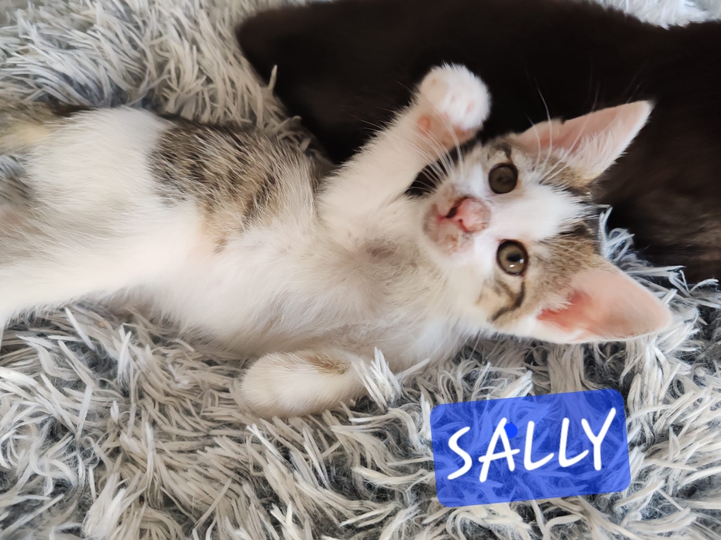 SALLY