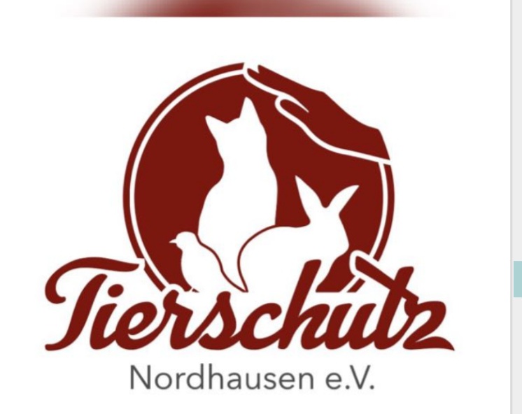 Zwergkaninchen