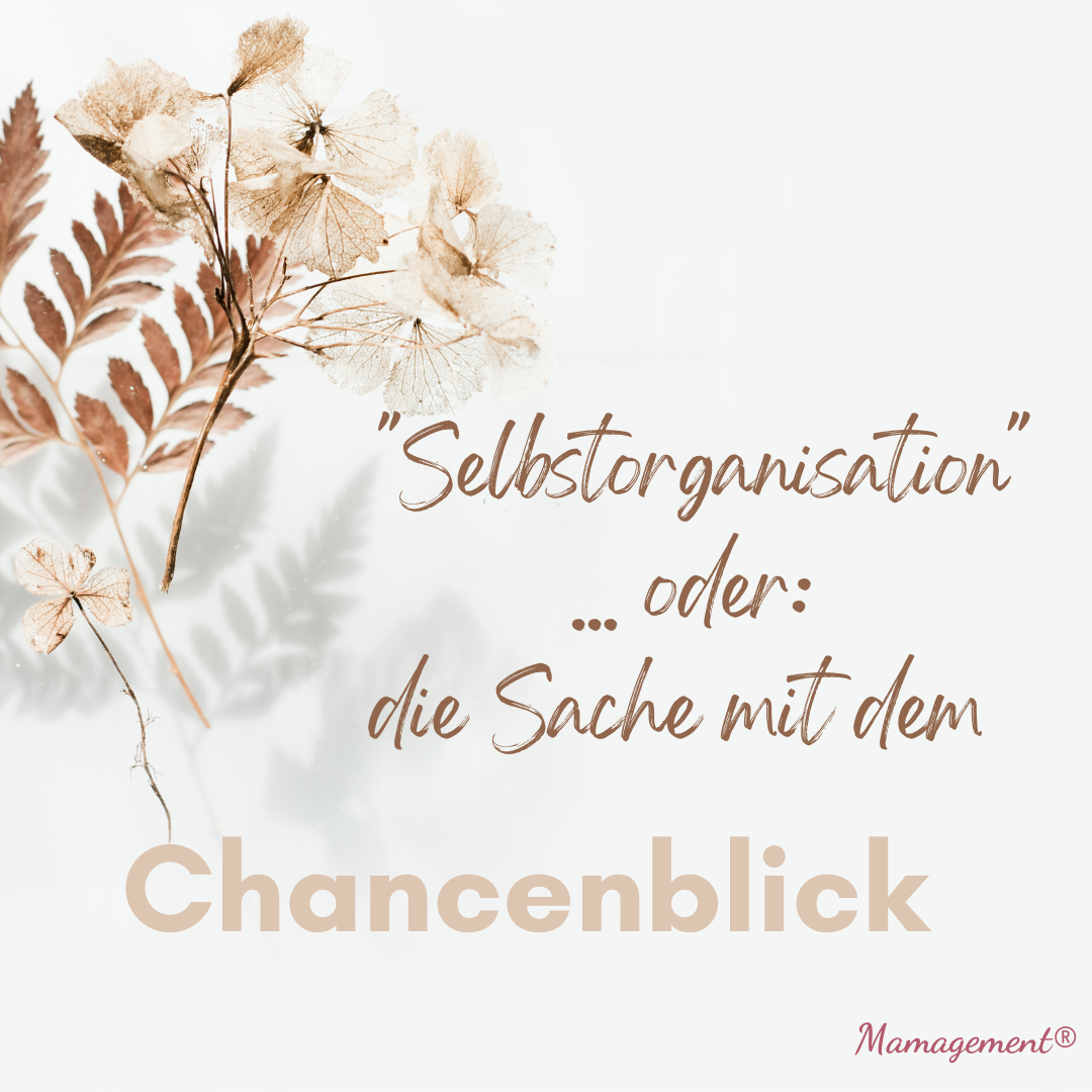 Selbstorganisation oder die Sache mit dem Chancenblick