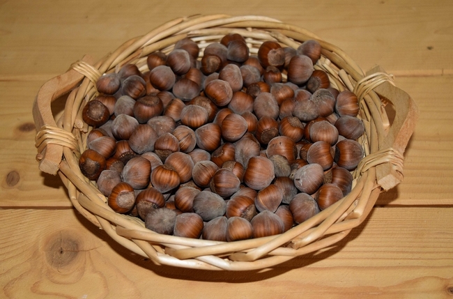Petit panier de noisette