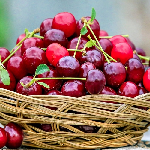 cerises