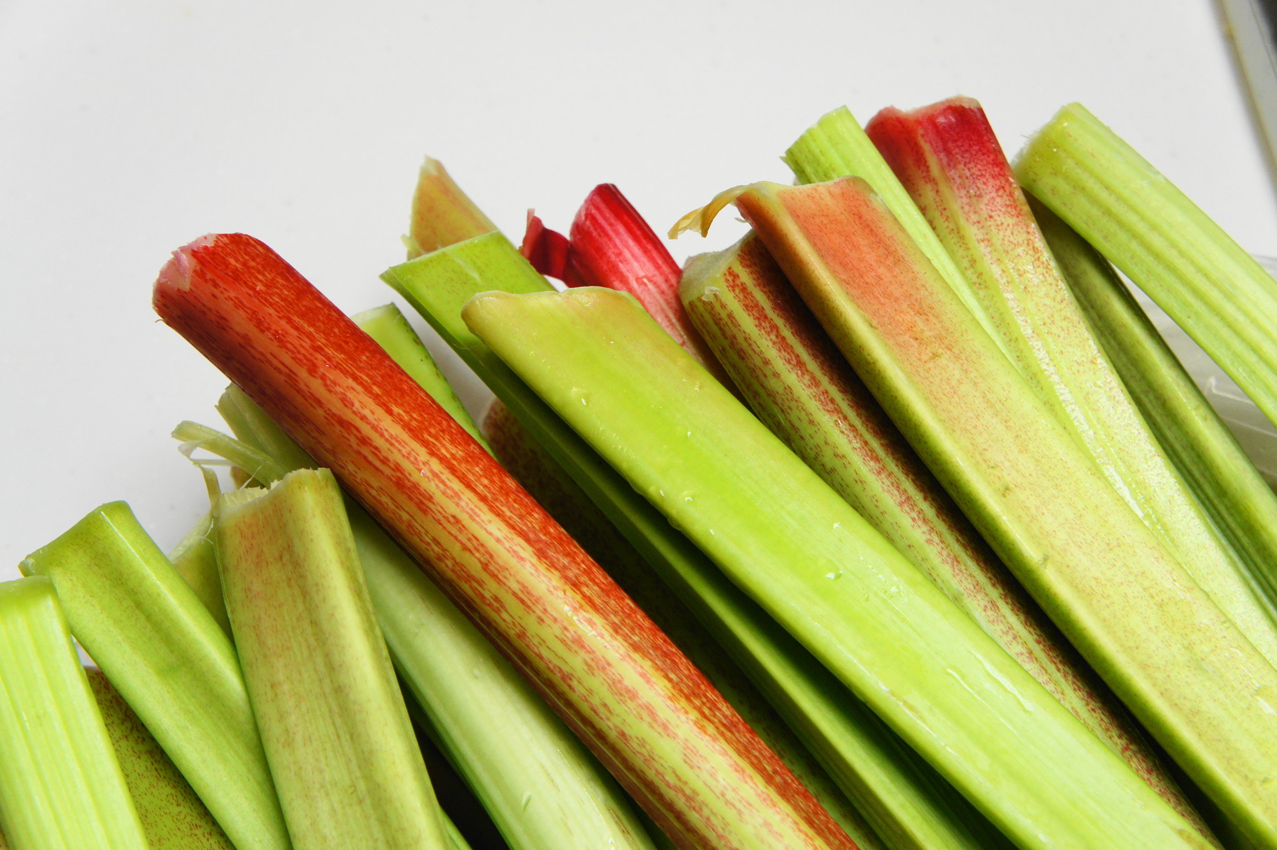 はじめてのルバーブ 焼き菓子屋