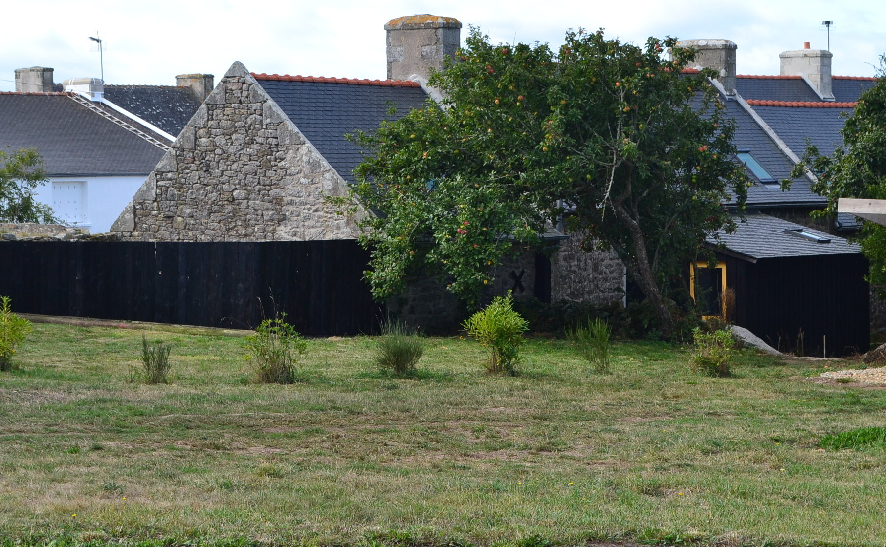 le terrain sur l'arrière de la maison