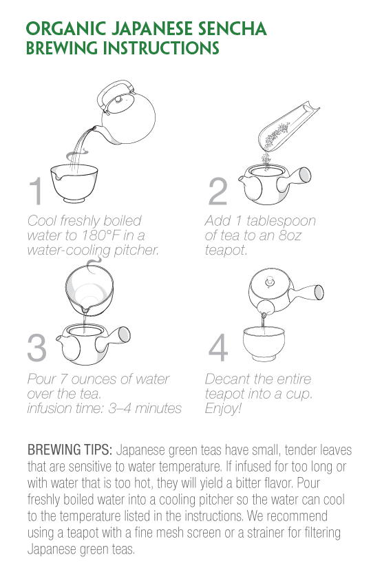 Sencha brewing instructions