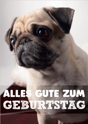 Mops Shop Möpsle.de