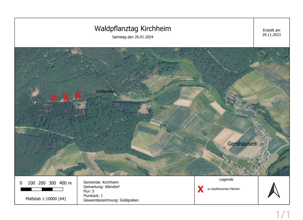 Kirchheimer CDU will ein Zeichen gegen das Waldsterben setzen