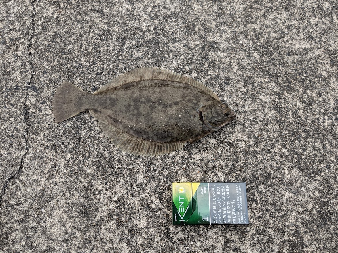 釣りしました