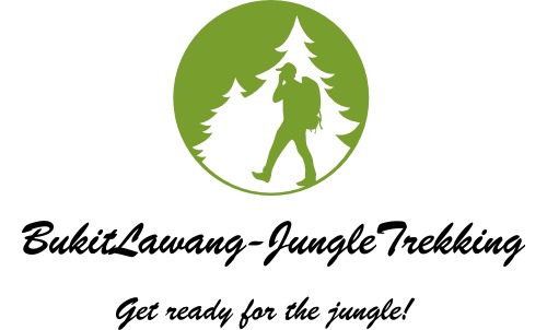 jungle tour sumatra