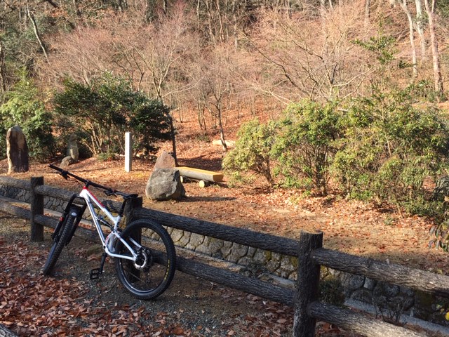 たつの市菖蒲谷森林公園に行ってきました。