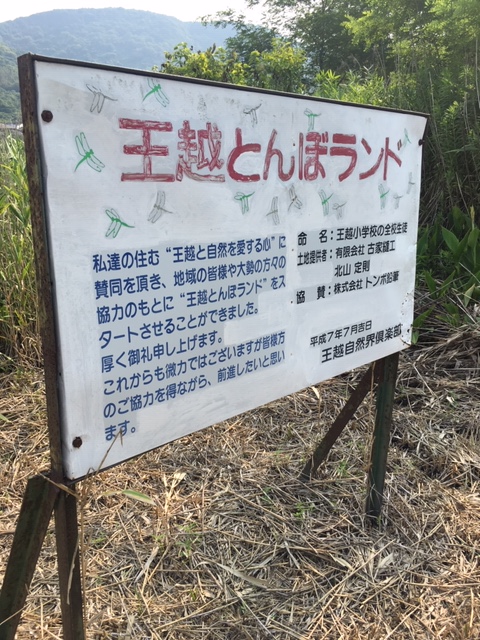 Fラン観光地の旅　第1回　王越とんぼランド