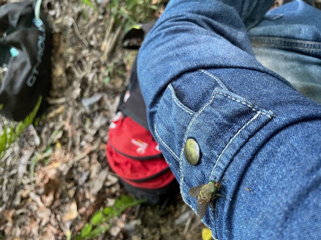 森林ボランティア活動へのご協力ありがとうございました