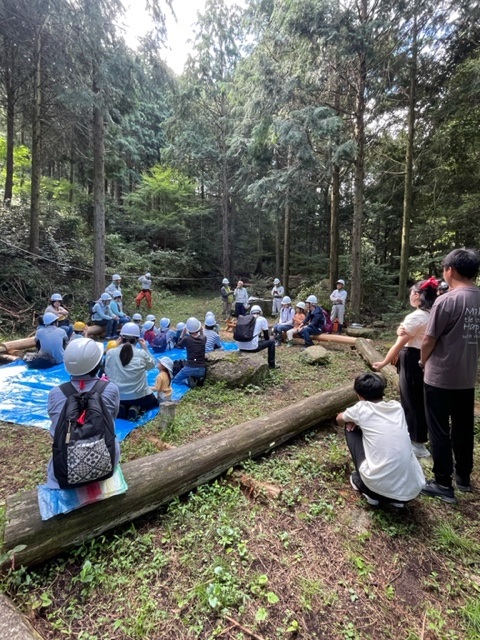 里山・森林ボランティア入門講座を受講しています。