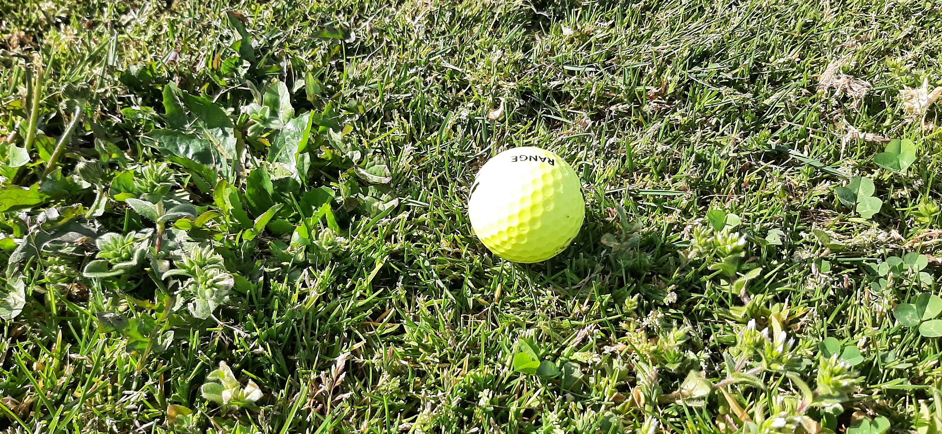 Tiger Woods peut trembler