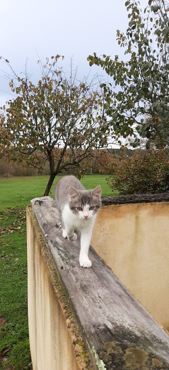 Jean-Charles en vadrouille