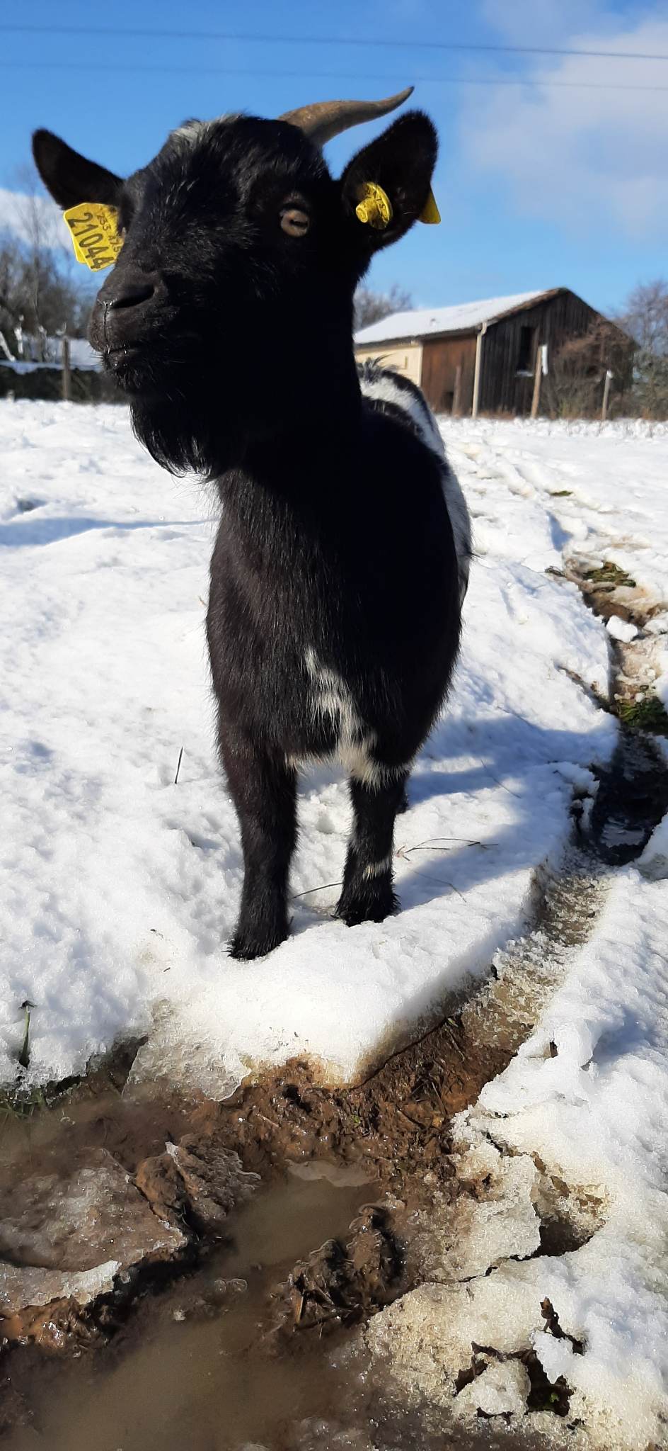 Même pas froid !