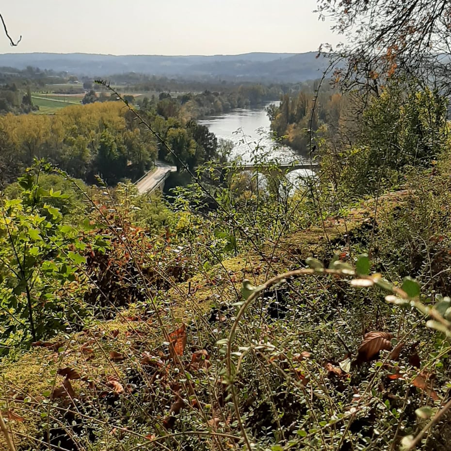 Des jardins en hauteur