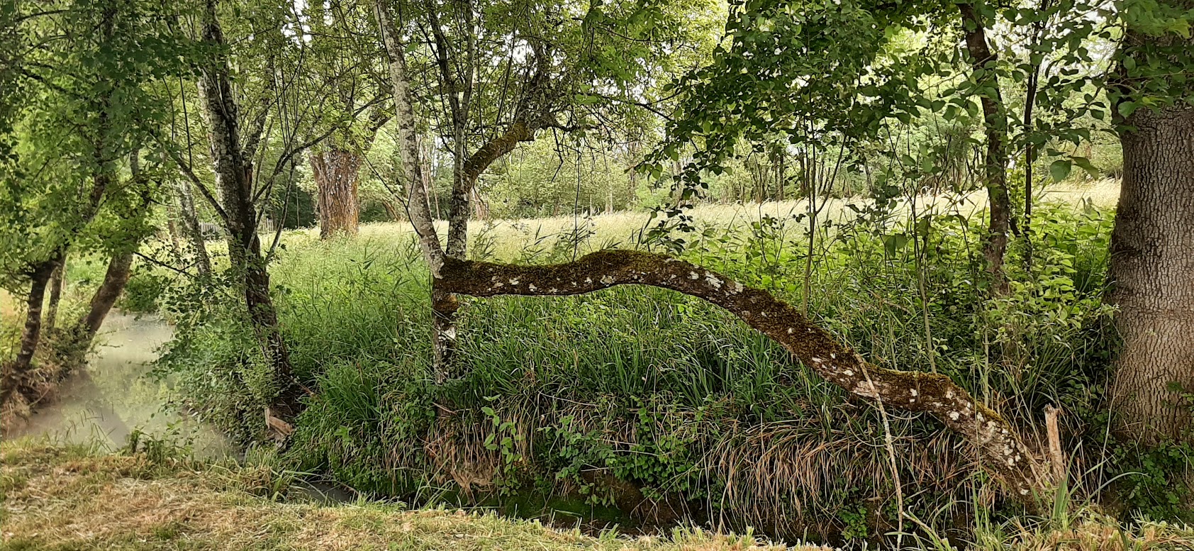 Une petite parenthèse "nature"