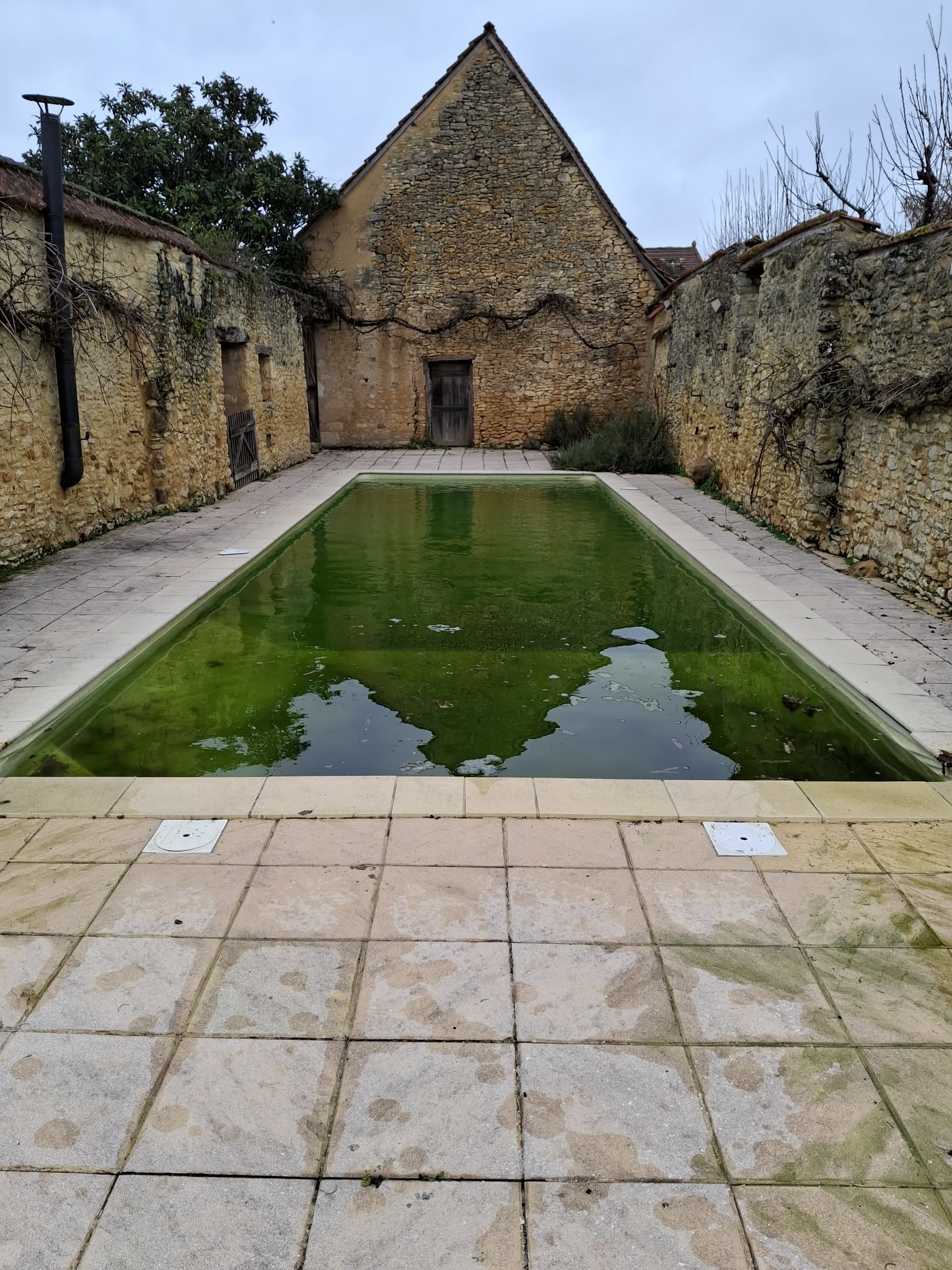 Eau verte